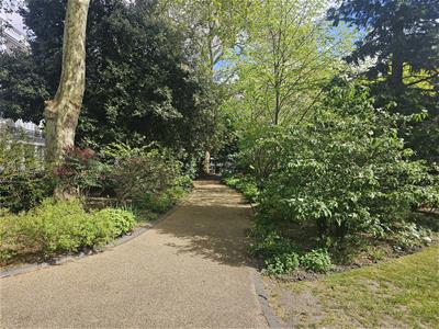 Picture 13